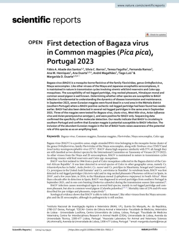 First detection of Bagaza virus in Common magpies (Pica ... Imagem 1