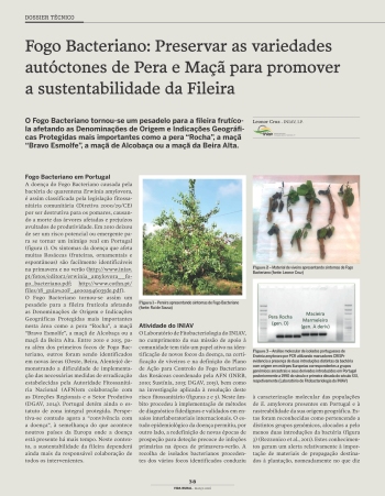 Fogo Bacteriano: Preservar as variedades autóctones de Pera ... Imagem 1