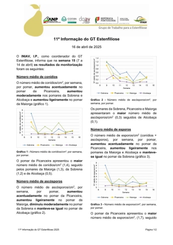 11ª Informação do GT Estenfiliose 2025 Imagem 1