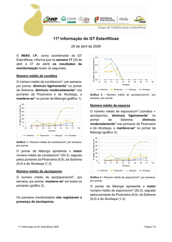 11ª Informação do GT Estenfiliose 2026 Imagem 1