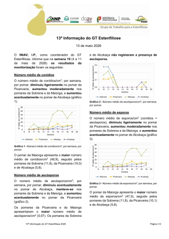 13ª Informação do GT Estenfiliose 2026 Imagem 1