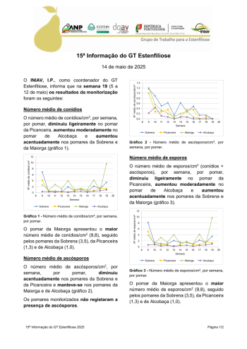 15ª Informação do GT Estenfiliose 2025 Imagem 1