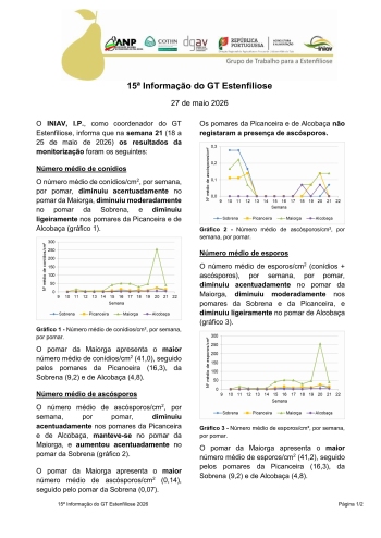 15ª Informação do GT Estenfiliose 2026 Imagem 1