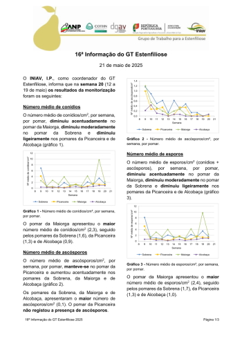 16ª Informação do GT Estenfiliose 2025 Imagem 1