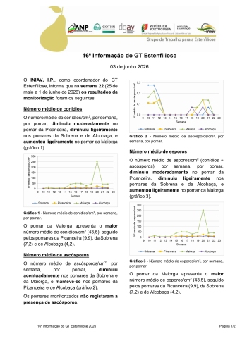 16ª Informação do GT Estenfiliose 2026 Imagem 1