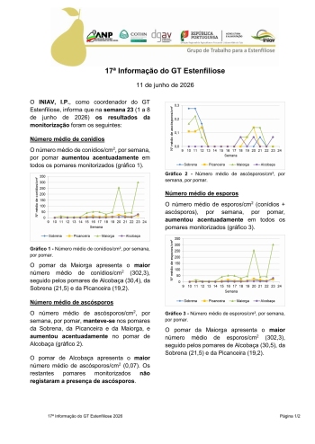 17ª Informação do GT Estenfiliose 2026 Imagem 1