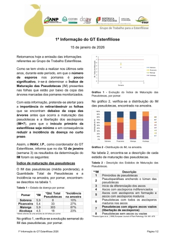 1ª Informação do GT Estenfiliose 2026 Imagem 1