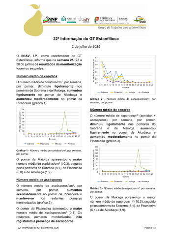 22ª Informação do GT Estenfiliose 2025 Imagem 1