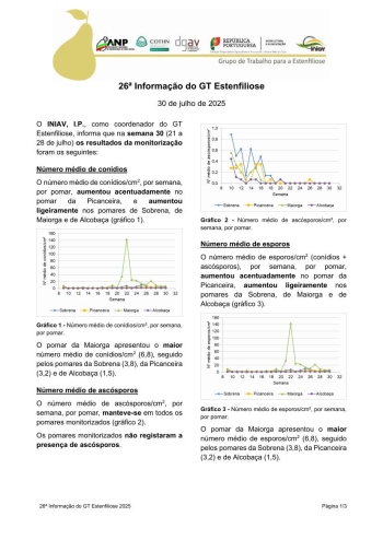 26ª Informação do GT Estenfiliose 2025 Imagem 1