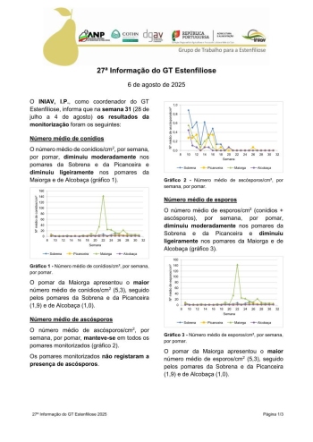 27ª Informação do GT Estenfiliose 2025 Imagem 1