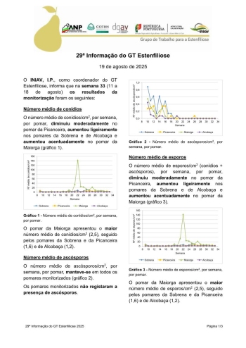 29ª Informação do GT Estenfiliose 2025 Imagem 1