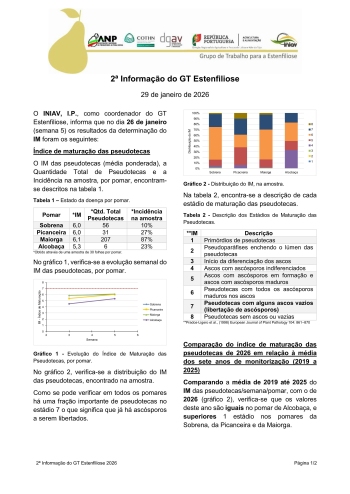 2ª Informação do GT Estenfiliose 2026 Imagem 1