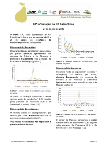 30ª Informação do GT Estenfiliose 2025 Imagem 1
