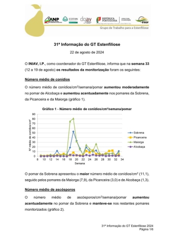 31ª Informação do GT Estenfiliose 2024 Imagem 1