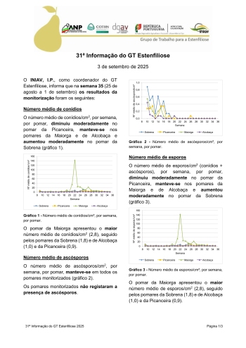 31ª Informação do GT Estenfiliose 2025 Imagem 1