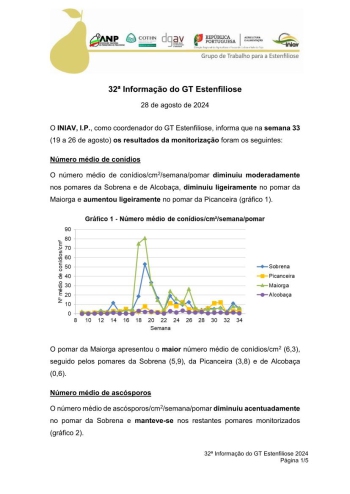 32ª Informação do GT Estenfiliose 2024 Imagem 1