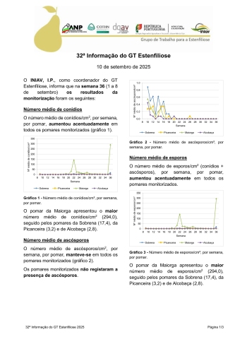 32ª Informação do GT Estenfiliose 2025 Imagem 1