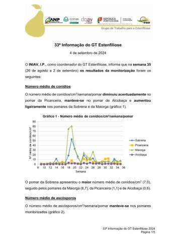 33ª Informação do GT Estenfiliose 2024 Imagem 1