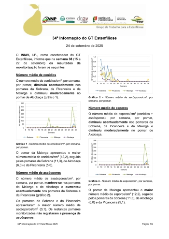 34ª Informação do GT Estenfiliose 2025 Imagem 1
