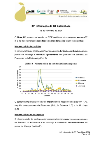 35ª Informação do GT Estenfiliose 2024 Imagem 1