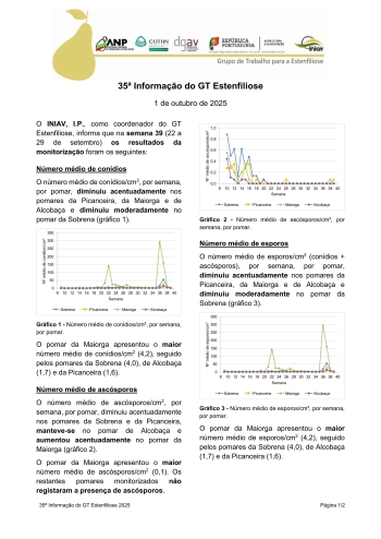 35ª Informação do GT Estenfiliose 2025 Imagem 1