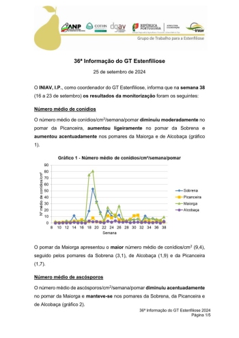 36ª Informação do GT Estenfiliose 2024 Imagem 1