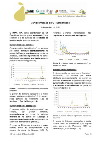 36ª Informação do GT Estenfiliose 2025 Imagem 1