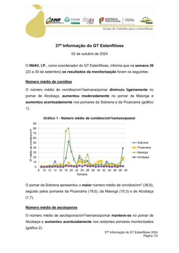 37ª Informação do GT Estenfiliose 2024 Imagem 1