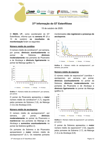 37ª Informação do GT Estenfiliose 2025 Imagem 1