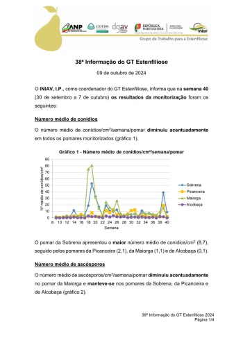 38ª Informação do GT Estenfiliose 2024 Imagem 1