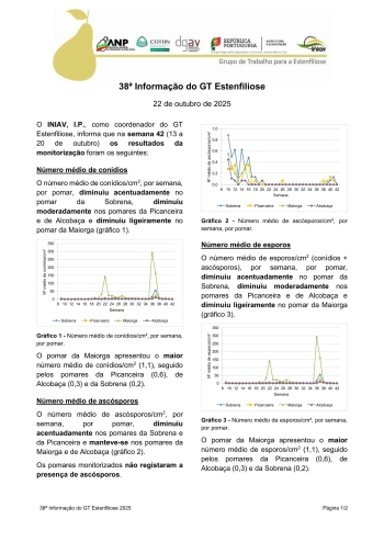 38ª Informação do GT Estenfiliose 2025 Imagem 1