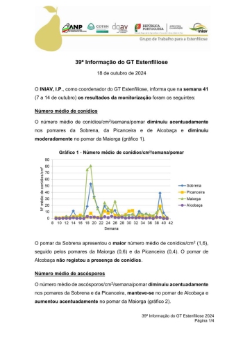 39ª Informação do GT Estenfiliose 2024 Imagem 1