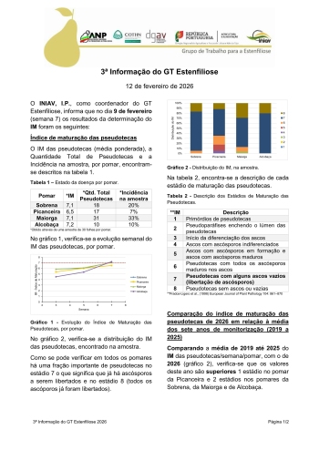 3ª Informação do GT Estenfiliose 2026 Imagem 1