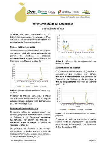 40ª Informação do GT Estenfiliose 2025 Imagem 1