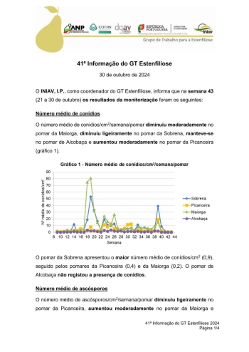 41ª Informação do GT Estenfiliose 2024 Imagem 1