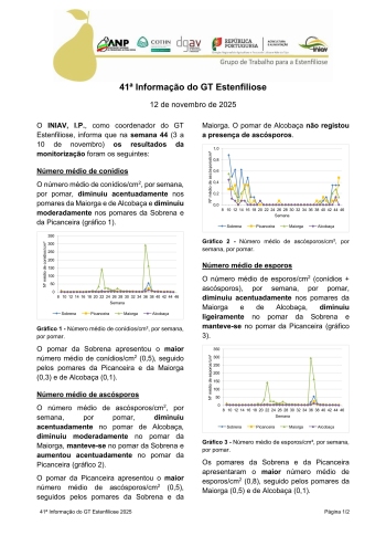 41ª Informação do GT Estenfiliose 2025 Imagem 1