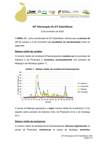 42ª Informação do GT Estenfiliose 2024 Imagem 1