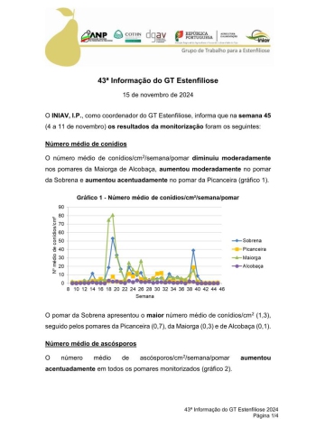 43ª Informação do GT Estenfiliose 2024 Imagem 1