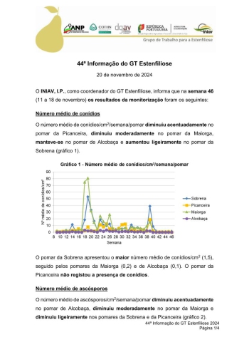 44ª Informação do GT Estenfiliose 2024 Imagem 1