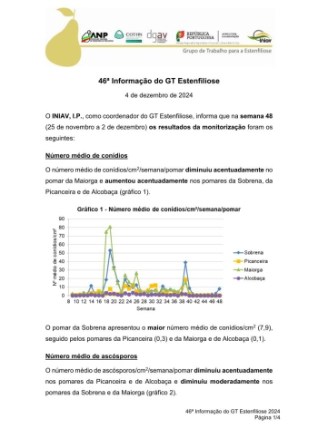 46ª Informação do GT Estenfiliose 2024 Imagem 1