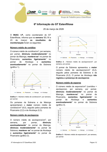 6ª Informação do GT Estenfiliose 2026 Imagem 1