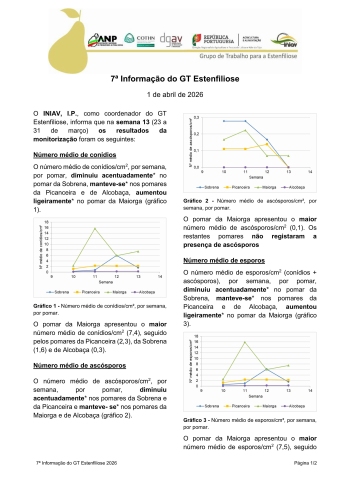 7ª Informação do GT Estenfiliose 2026 Imagem 1