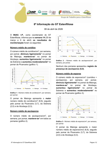 8ª Informação do GT Estenfiliose 2026 Imagem 1