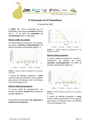 9ª Informação do GT Estenfiliose 2026 Imagem 1