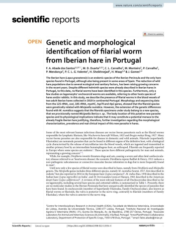 Genetic and morphological identification of filarial worm ... Imagem 1