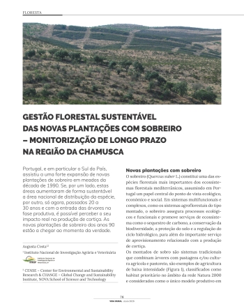 GESTÃO FLORESTAL SUSTENTÁVEL DAS NOVAS PLANTAÇÕES COM ... Imagem 1