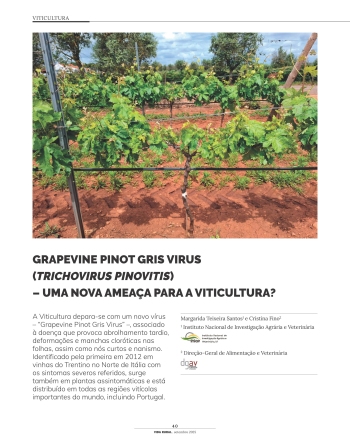 GRAPEVINE PINOT GRIS VIRUS (TRICHOVIRUS PINOVITIS) - UMA ... Imagem 1