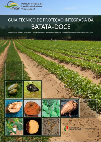 GUIA TÉCNICO DE PROTEÇÃO INTEGRADA DA BATATA-DOCE - PARTE I Imagem 1