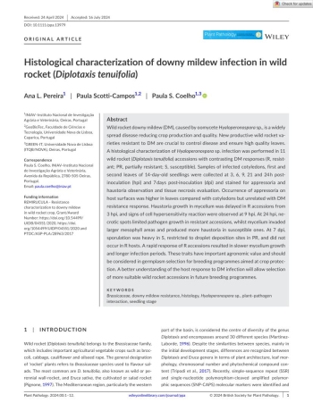 Histological characterization of downy mildew infection in ... Imagem 1