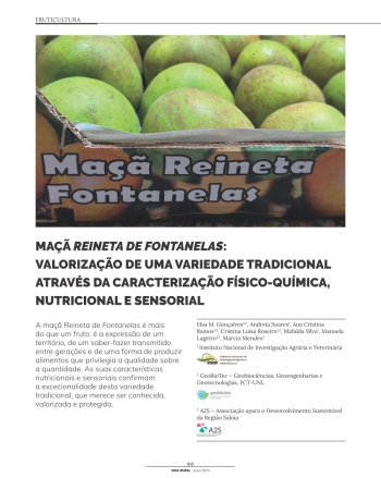MAÇÃ REINETA DE FONTANELAS: VALORIZAÇÃO DE UMA VARIEDADE ... Imagem 1